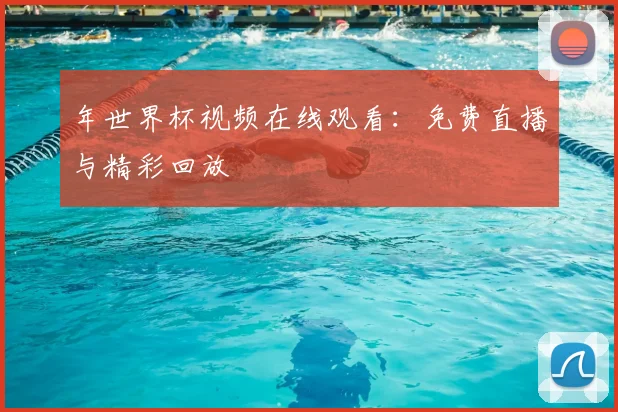 年世界杯视频在线观看：免费直播与精彩回放