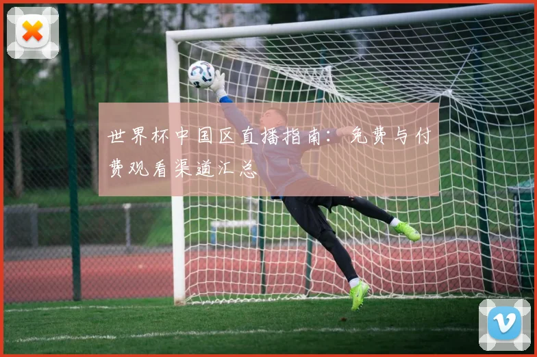 世界杯中国区直播指南：免费与付费观看渠道汇总